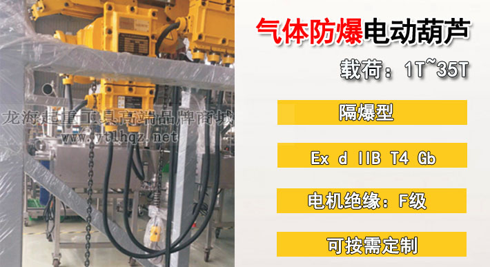 氣體防爆環鏈電動葫蘆